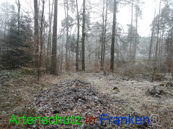 Bild zum Eintrag (89452-160)