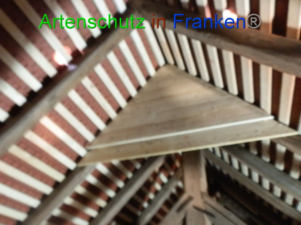 Copyright AiF Donath Bild zum Eintrag (89480-160)