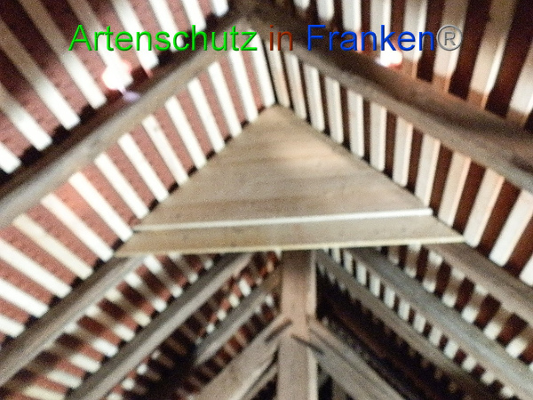Copyright AiF Donath Bild zum Eintrag (89481-160)