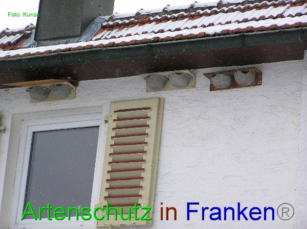 Copyright AiF Gerhard Kunze Bild zum Eintrag (89762-160)