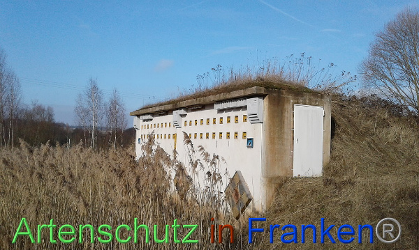 Bild zum Eintrag (89839-160)