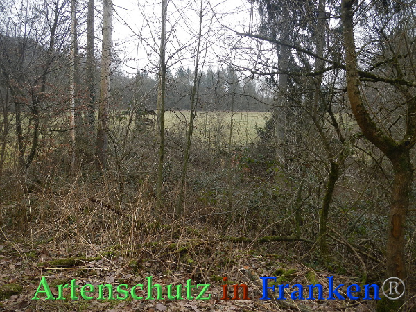 Bild zum Eintrag (89934-160)