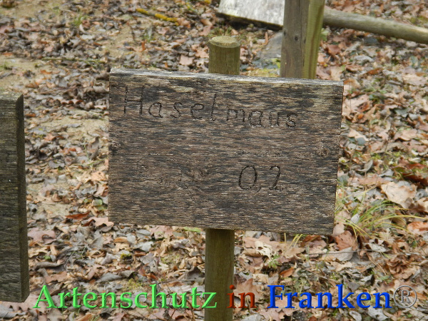 Bild zum Eintrag (89939-160)