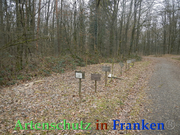 Bild zum Eintrag (89940-160)