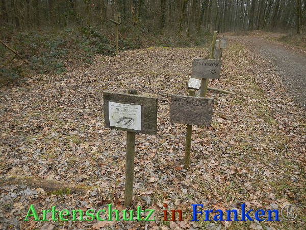 Bild zum Eintrag (89941-160)