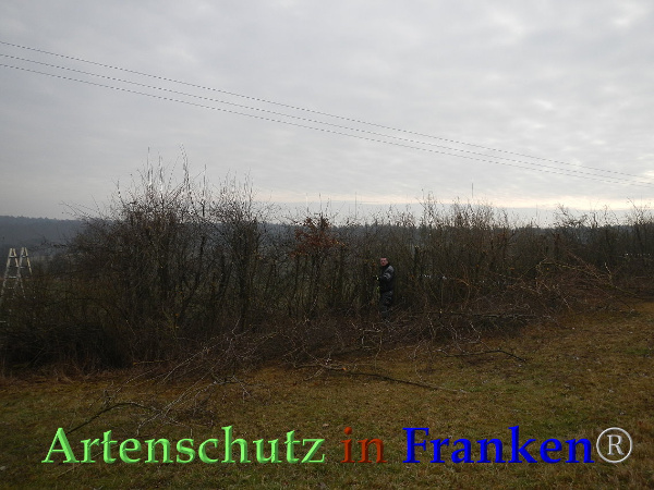 Bild zum Eintrag (89984-160)