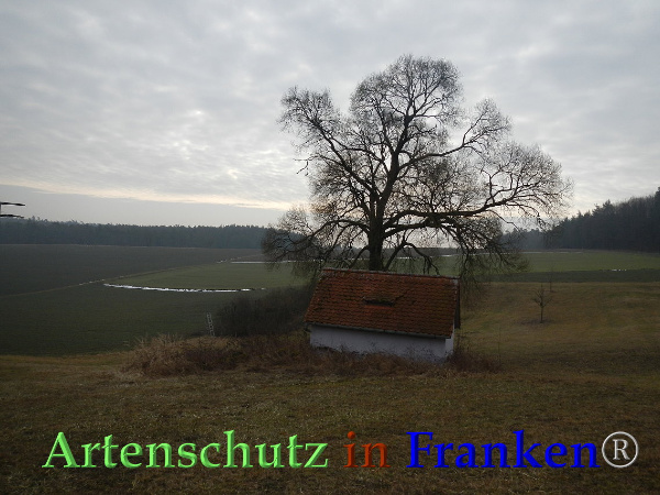 Bild zum Eintrag (89989-160)