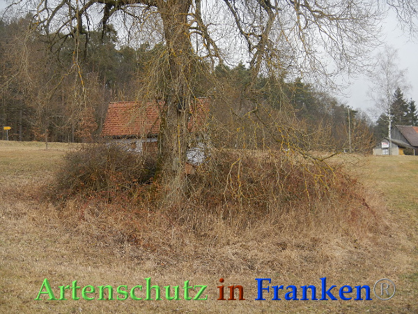 Bild zum Eintrag (90000-160)