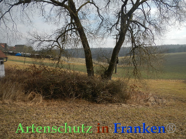 Bild zum Eintrag (90001-160)