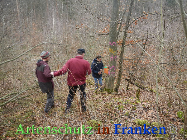 Bild zum Eintrag (90022-160)