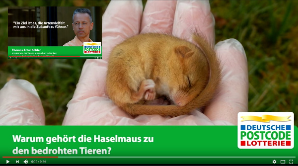 Copyright AiF / Deutsche Postcode Lotterie / youtube Bild zum Eintrag (90026-160)