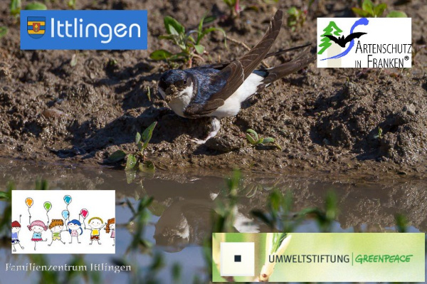 Copyright AiF / Collage - Johannes Rother Bild zum Eintrag (90028-160)
