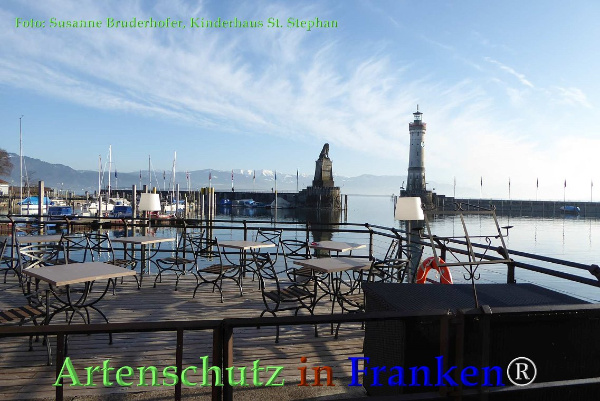 Copyright AiF / S.Bruderhofer Kiga St.Stephan Bild zum Eintrag (90037-160)