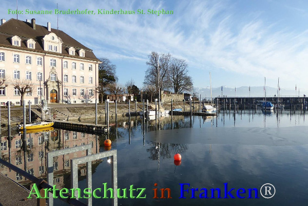 Copyright AiF / S.Bruderhofer Kiga St.Stephan Bild zum Eintrag (90038-160)