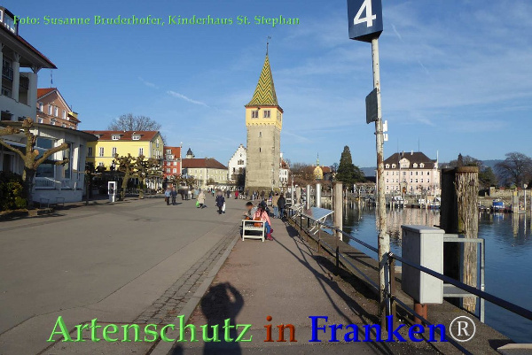 Copyright AiF / S.Bruderhofer Kiga St.Stephan Bild zum Eintrag (90039-160)