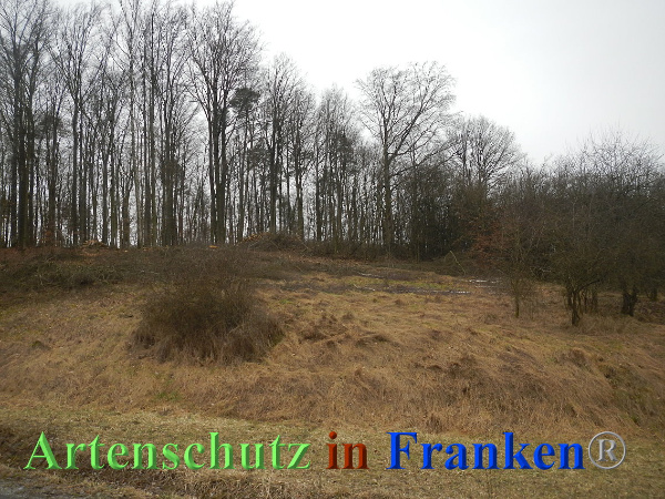 Bild zum Eintrag (90142-160)