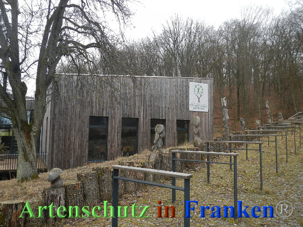 Bild zum Eintrag (90146-160)