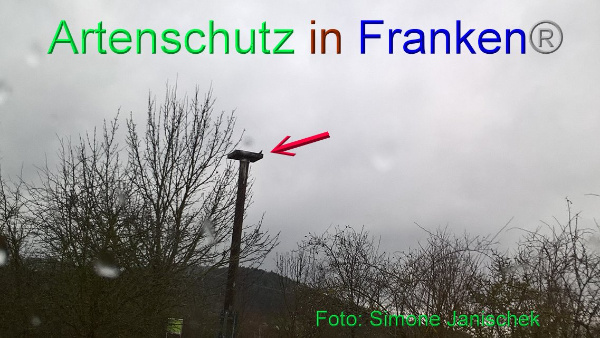 Copyright AiF Simone Janischek Bild zum Eintrag (90186-160)