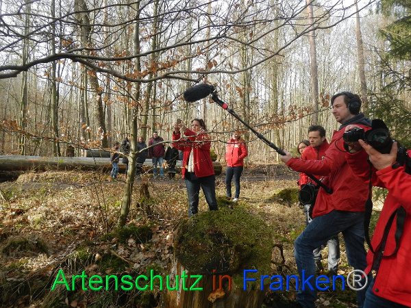 Bild zum Eintrag (90218-160)