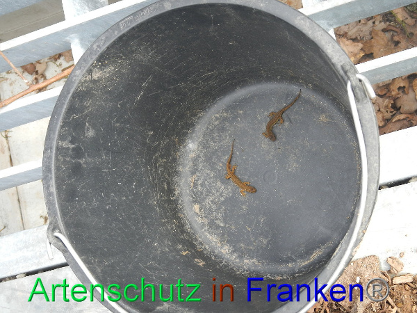 Bild zum Eintrag (90260-160)
