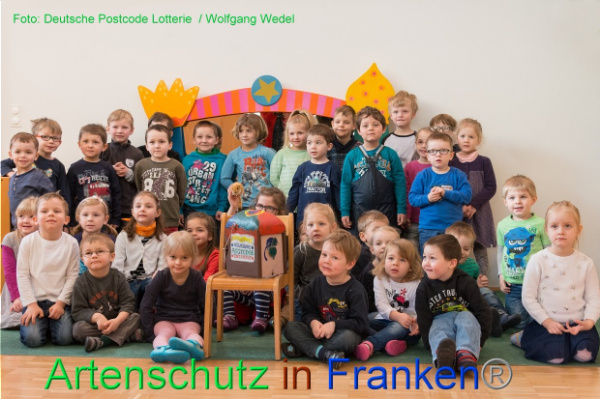 Copyright AiF Wolfgang Wedel Bild zum Eintrag (90273-160)