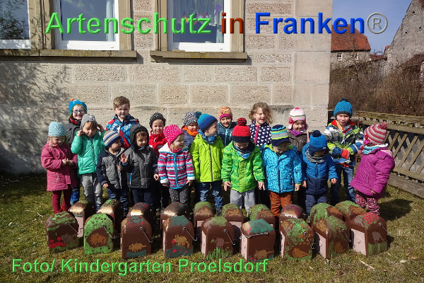 Copyright AiF Kindergarten Prölsdorf Bild zum Eintrag (90347-160)