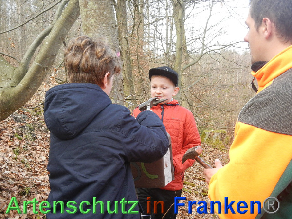 Bild zum Eintrag (90369-160)