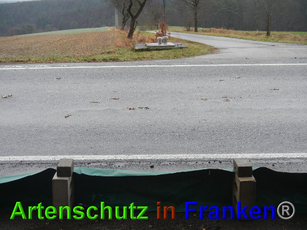 Bild zum Eintrag (90480-160)