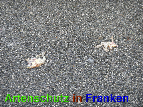 Bild zum Eintrag (90484-160)