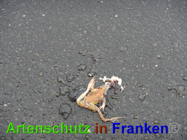 Bild zum Eintrag (90505-160)