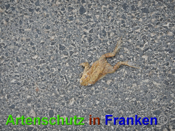 Bild zum Eintrag (90510-160)