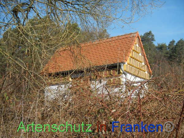 Bild zum Eintrag (90594-160)