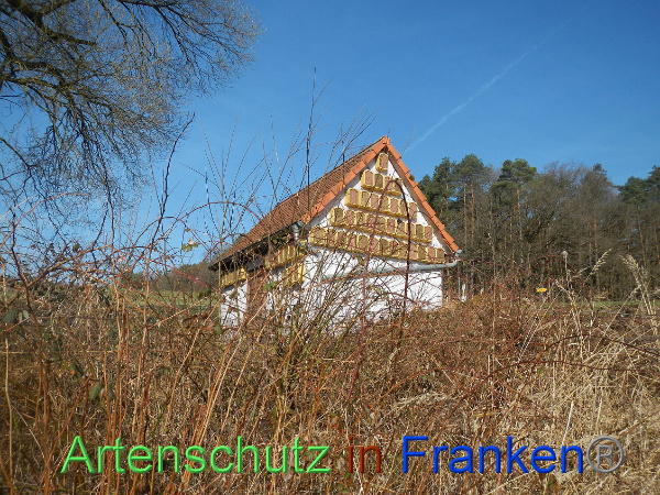 Bild zum Eintrag (90595-160)