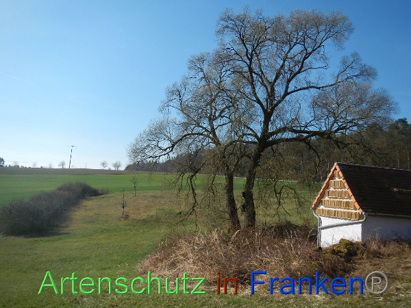 Bild zum Eintrag (90596-160)