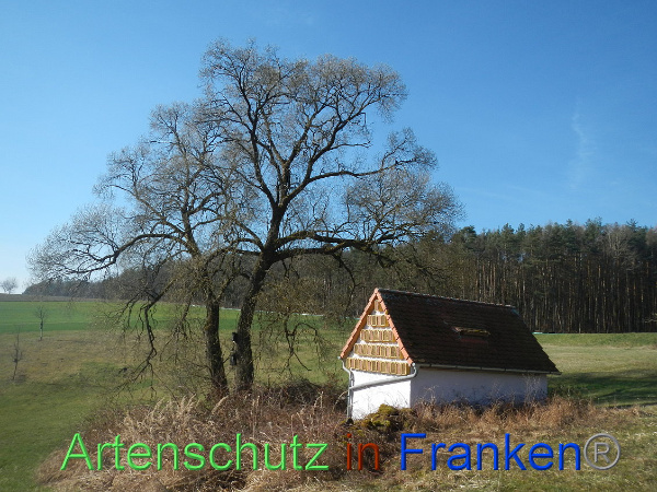 Bild zum Eintrag (90601-160)