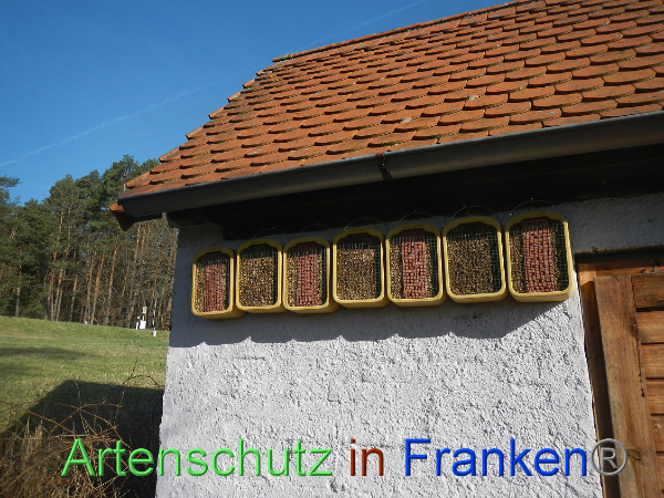 Bild zum Eintrag (90605-160)