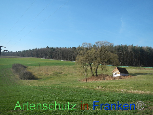 Bild zum Eintrag (90610-160)