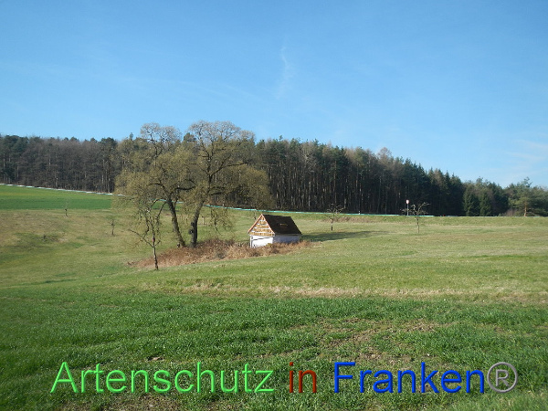 Bild zum Eintrag (90611-160)