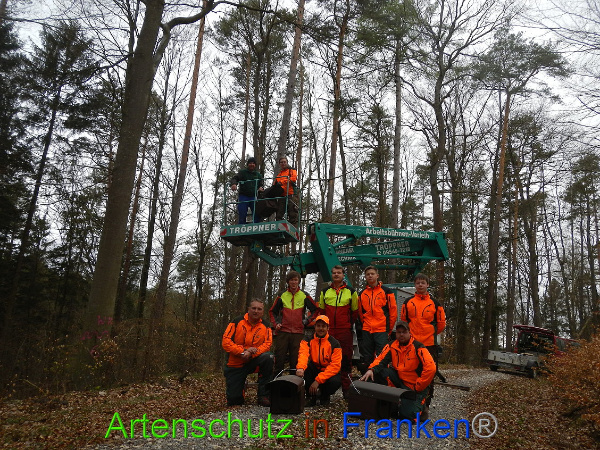 Bild zum Eintrag (90773-160)