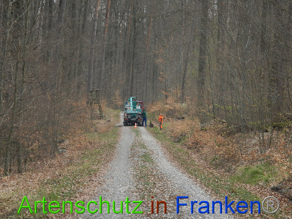 Bild zum Eintrag (90784-160)