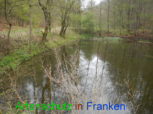 Bild zum Eintrag (90858-160)