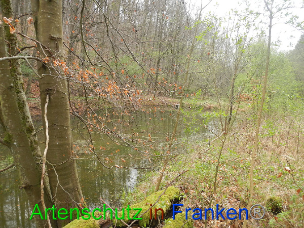 Bild zum Eintrag (90860-160)