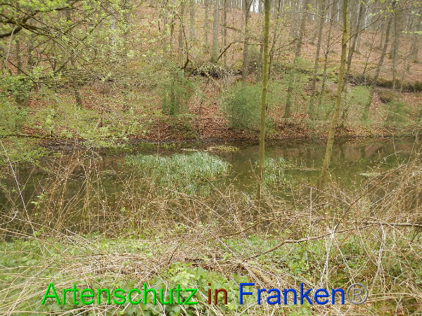 Bild zum Eintrag (90862-160)