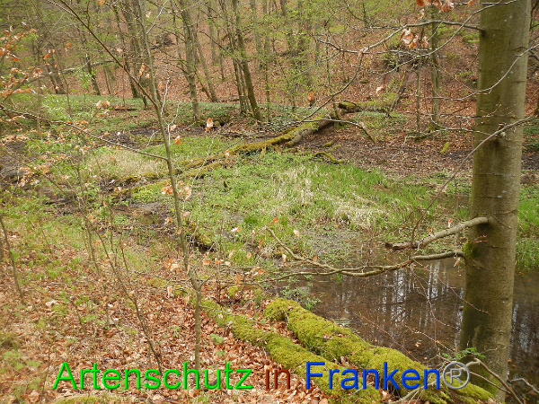 Bild zum Eintrag (90864-160)