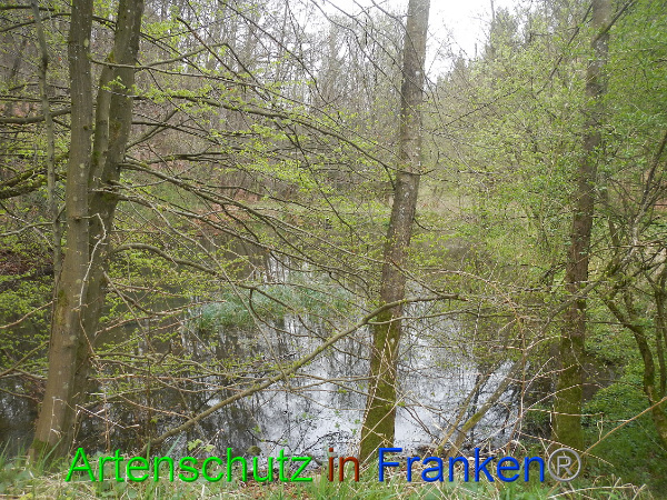 Bild zum Eintrag (90865-160)