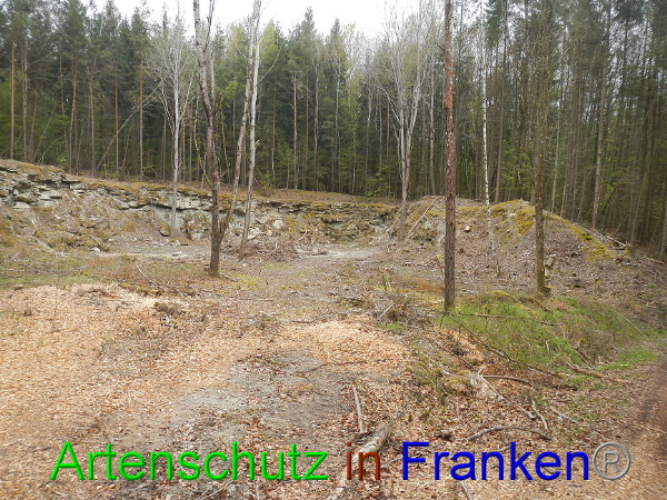 Bild zum Eintrag (91025-160)