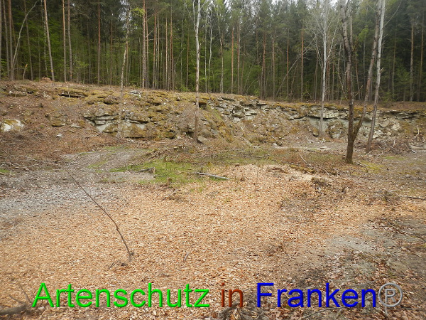 Bild zum Eintrag (91027-160)