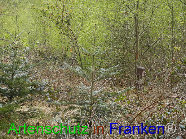 Bild zum Eintrag (91050-160)