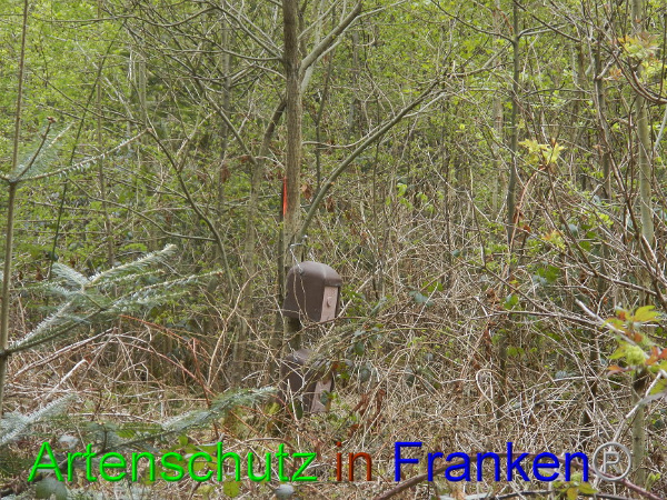 Bild zum Eintrag (91051-160)