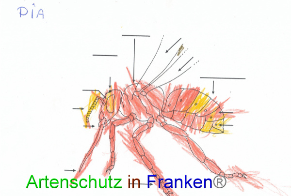 Bild zum Eintrag (91075-160)